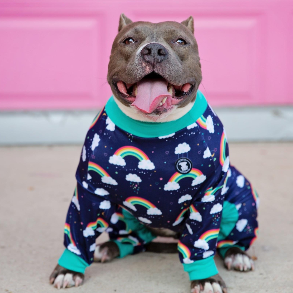 Pajamas Clothes For Pitbulls Matching Pitbull Pjs Dog Onesies For - Main Image