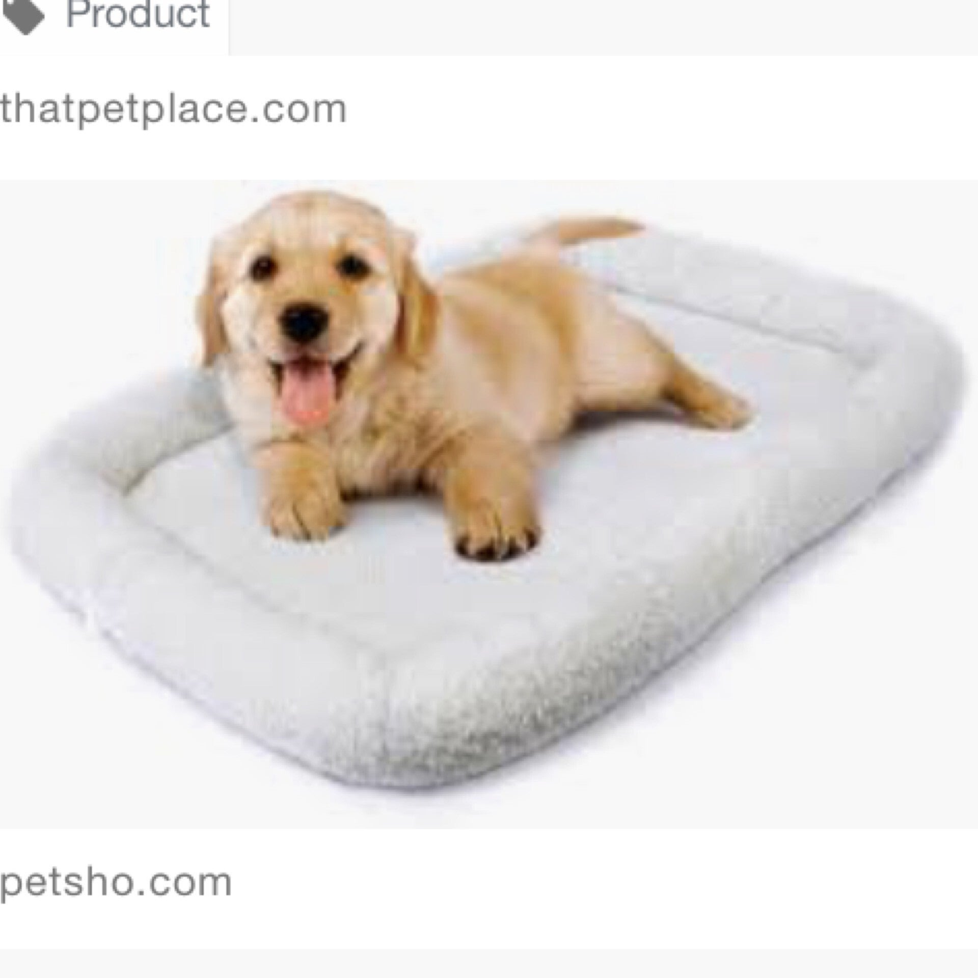 Red sox dog bed discount